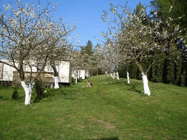 Czeresniowy Sad Villa Wisełka Exteriör bild