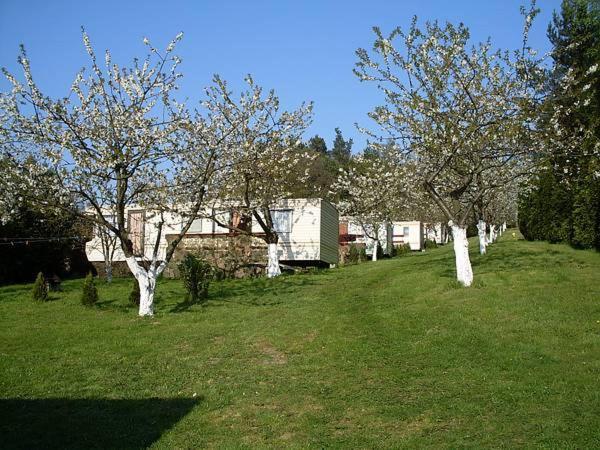 Czeresniowy Sad Villa Wisełka Exteriör bild