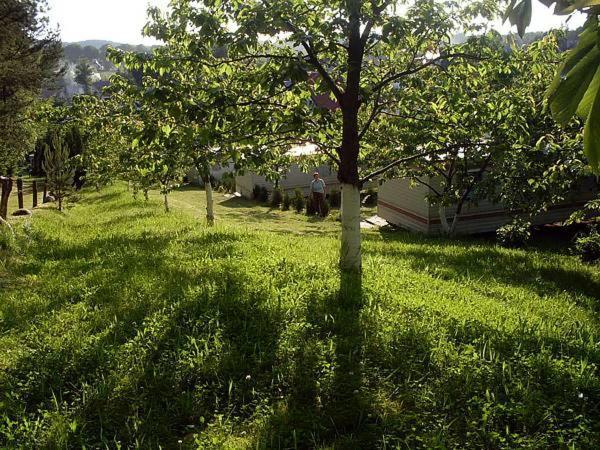Czeresniowy Sad Villa Wisełka Exteriör bild